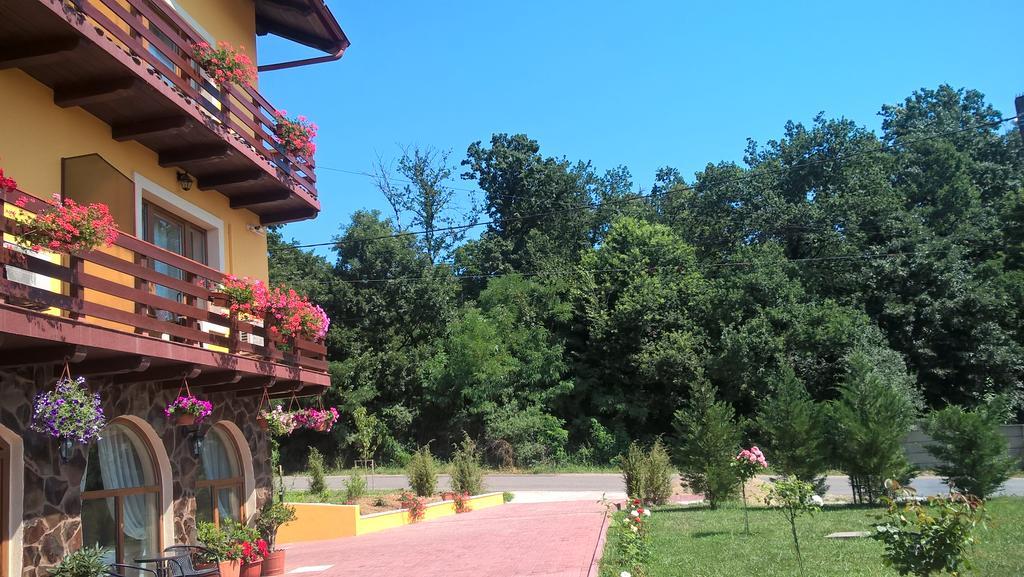 Allegra Băile Felix Esterno foto